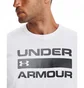 Футболка мужская Under Armour Team Issue Wordmark Ss White 1329582-100