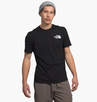 Футболка мужская The North Face Logo Black NF0A812HOV2