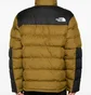 Куртка чоловіча The North Face Limbara Brown/Black NF0A89EG1OB