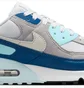 Кроссовки мужские Nike Air Max 90 Grey/Blue FN6958-001