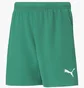 Шорты детские Puma Teamrise Green 704943-05