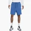 Шорты мужские Nike Mens Shorts Blue CU4503-407