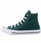 Кеды унисекс Converse Ctas Hi Dragon Scale Green A04544C