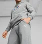 Штаны мужские Puma Bmw M Rsport Ess Grey 621302-03