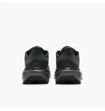 Кросівки чоловічі Nike Air Zoom Pegasus 41 Gtx Black FQ1356-001