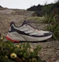 Кроссовки мужские Adidas Terrex Trailmaker 2.0 Gore-Tex Hiking Shoes Olive IG8899