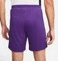 Шорти чоловічі Nike Shorts Dri-Fit Park 3 Violet BV6855-547