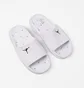 Тапочки чоловічі Air Jordan Franchise Slide Shower White HQ2163-100