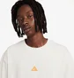 Футболка мужская Air Jordan Acg Lungs Tee Light Orewood White DQ1815-104