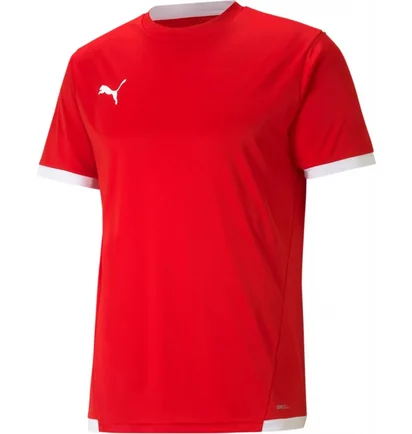 Футболка мужская Puma Teamliga Jersey Red 704917-01