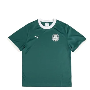 Футболка чоловіча Puma X Palmeiras Sao Paulo Ringer Tee Green 629533-43