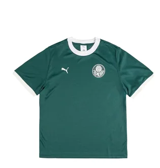 Футболка мужская Puma X Palmeiras Sao Paulo Ringer Tee Green 629533-43