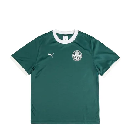 Футболка чоловіча Puma X Palmeiras Sao Paulo Ringer Tee Green 629533-43