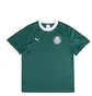 Футболка чоловіча Puma X Palmeiras Sao Paulo Ringer Tee Green 629533-43