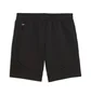 Шорти чоловічі Puma Evostripe Dk Black 692192-01