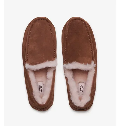 Тапочки чоловічі Ugg Ascot Brown 1101110-Che