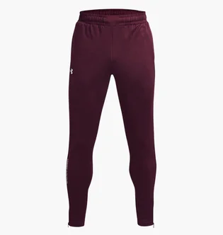 Штани чоловічі Under Armour Terry Bordo 1366265-600