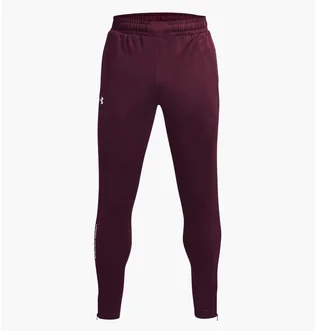 Штаны мужские Under Armour Terry Bordo 1366265-600