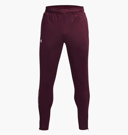 Штаны мужские Under Armour Terry Bordo 1366265-600