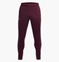 Штаны мужские Under Armour Terry Bordo 1366265-600