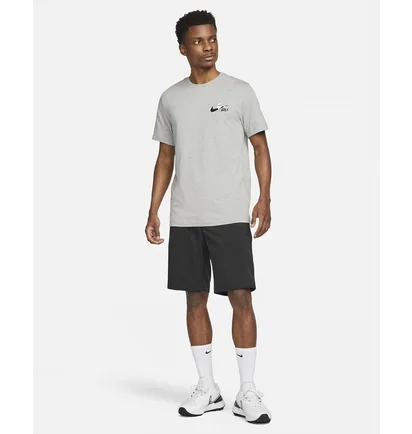 Футболка мужская Nike T-Shirt Grey FD0037-063