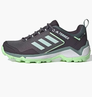 Кросівки жіночі Adidas Terrex Eastrail Gore-tex W Grey FV6912