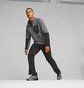 Олімпійка чоловіча Puma Seasons Raincell Grey 523245-01
