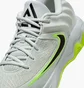 Кроссовки мужские Nike Giannis Immortality 4 Grey FQ3680-007