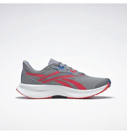Кросівки чоловічі Reebok Floatride Energy 5 Grey GY0073
