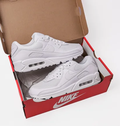 Кросівки чоловічі Nike Air Max 90 White CN8490-100