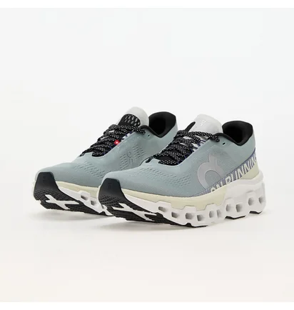 Кросівки чоловічі On M Cloudmonster 2 Grey 3ME10122078