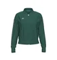 Олимпийка женская Arena Relax Iv Team Jacket Green 001223-661