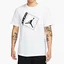 Футболка чоловіча Air Jordan M J Jumpman Box Ss Crew White DA9900-100