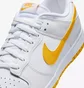 Кроссовки мужские Nike Dunk Low White DV0831-110
