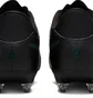 Бутсы унисекс Nike Legend 10 Academy Sg-Pro Ac Black DV4338-002