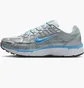 Кросівки чоловічі Nike P-6000 Metallic CD6404-025