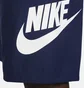 Шорты мужские Nike Club Blue FN3303-410