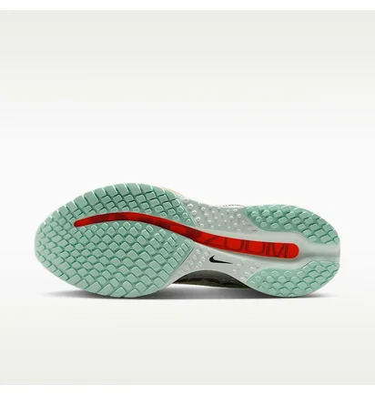Кросівки чоловічі Nike Pegasus Premium MenS Road Running Shoes Green HQ2592-301