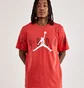 Футболка мужская Air Jordan Air Stretch Tee Red DV1445-604