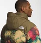 Пуховик чоловічий The North Face Printed 1996 Retro Nuptse Multi NF0A5IX494B
