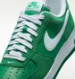 Кроссовки мужские Nike Air Force 1 Low 07 Sk8 Stadium Green IB6388-300
