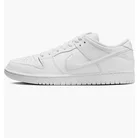 Кросівки чоловічі Nike Sb Dunk Low Pro White FJ1674-100
