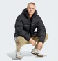 Пуховик мужской Adidas Adicolor Down Regen Hooded Puffer Black IL2572