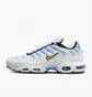 Кросівки чоловічі Nike Air Max Plus MenS Shoes White DM0032-101