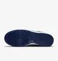 Кроссовки мужские Nike Dunk Low Blue/White Dd3363-001
