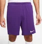 Шорти чоловічі Nike Shorts Dri-Fit Park 3 Violet BV6855-547