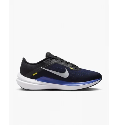 Кроссовки мужские Nike Winflo 10 Blue DV4022-005
