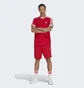 Футболка мужская Adidas Adicolor Classics 3-Stripes Tee Red Ia4852