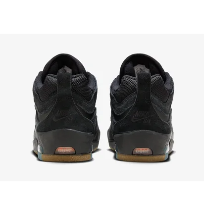 Кросівки чоловічі Nike Air Max Ishod Wair Sb Black FB2393-001