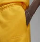 Штани чоловічі Air Jordan Wordmark Fleece Pant Yellow FJ0696-739